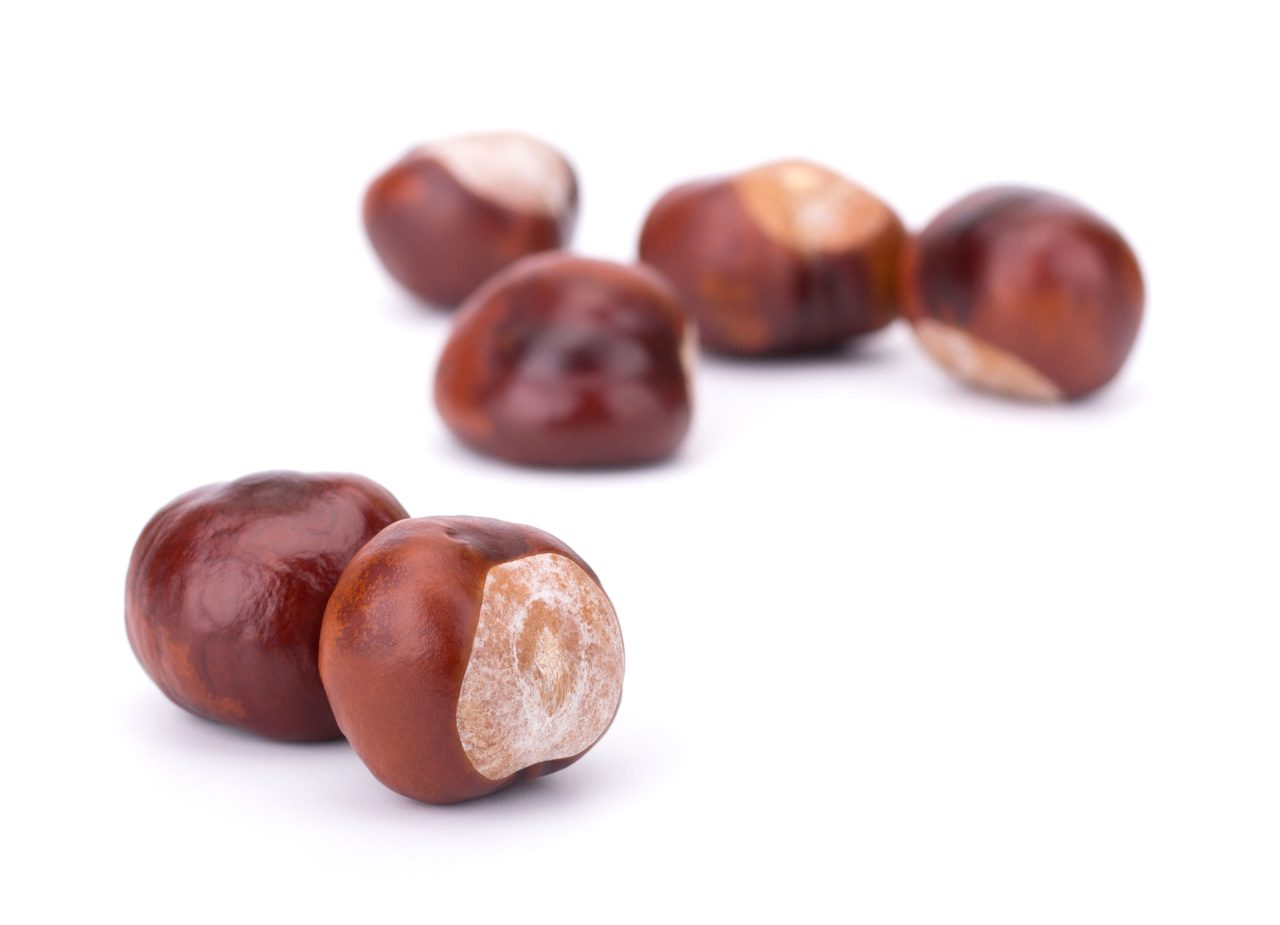 chestnuts-isolated-on-white-background-2021-10-27-14-48-16-utc-1280x925.jpg